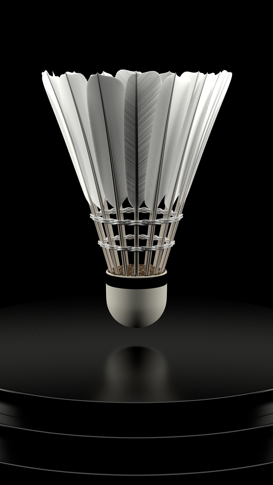 也给球迷们 也给球迷们