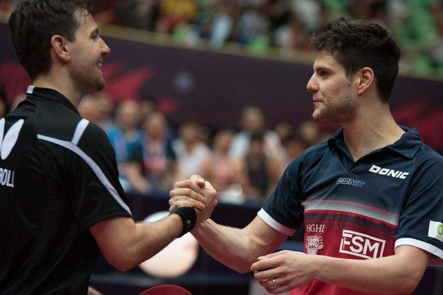 新鲜的活力 新鲜的活力